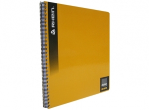 CUADERNO UNIV. E/D 100 HJ LI LISO RHEIN.