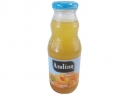 JUGO NECTAR BOCA ANCHA ANDINA FRUT 300CC DAMASCO