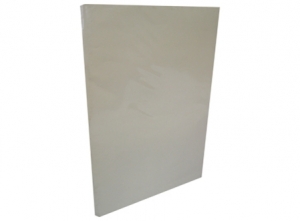 CARPETA PLASTIFICADA BEIGE CARLEIRO