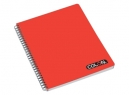 CUADERNO UNIV. E/D 100 HJ M7 COLON LISO.