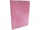 ARCHIVADOR RAPIDO PLASTIF. ROSADO CARLEIRO