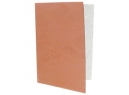 CARPETA PLASTIFICADA BEIGE CORRIENTE