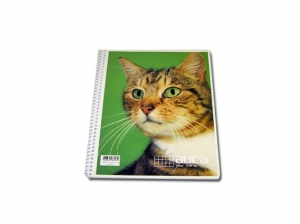 CUADERNO UNIV. E/S 100 HJ M7 AUCA LITO.