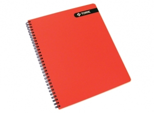 CUADERNO UNIV. E/D 100 HJ M5 TORRE LISO.