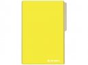 CARPETA CARTULINA PIG.RHEIN AMARILLO 314460-7