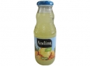 JUGO NECTAR BOCA ANCHA ANDINA FRUT 300CC PI?A