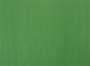 CARTULINA COLOR 53.5 X 77 VERDE CLARO HALLEY