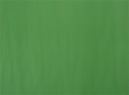 CARTULINA COLOR 53.5 X 77 VERDE CLARO HALLEY